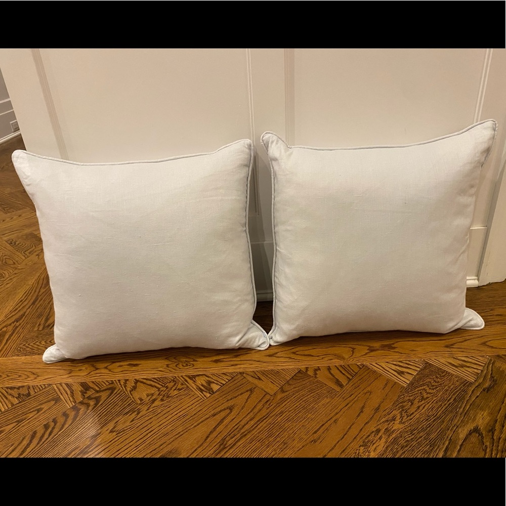 Set of 2 Baby Blue pillows